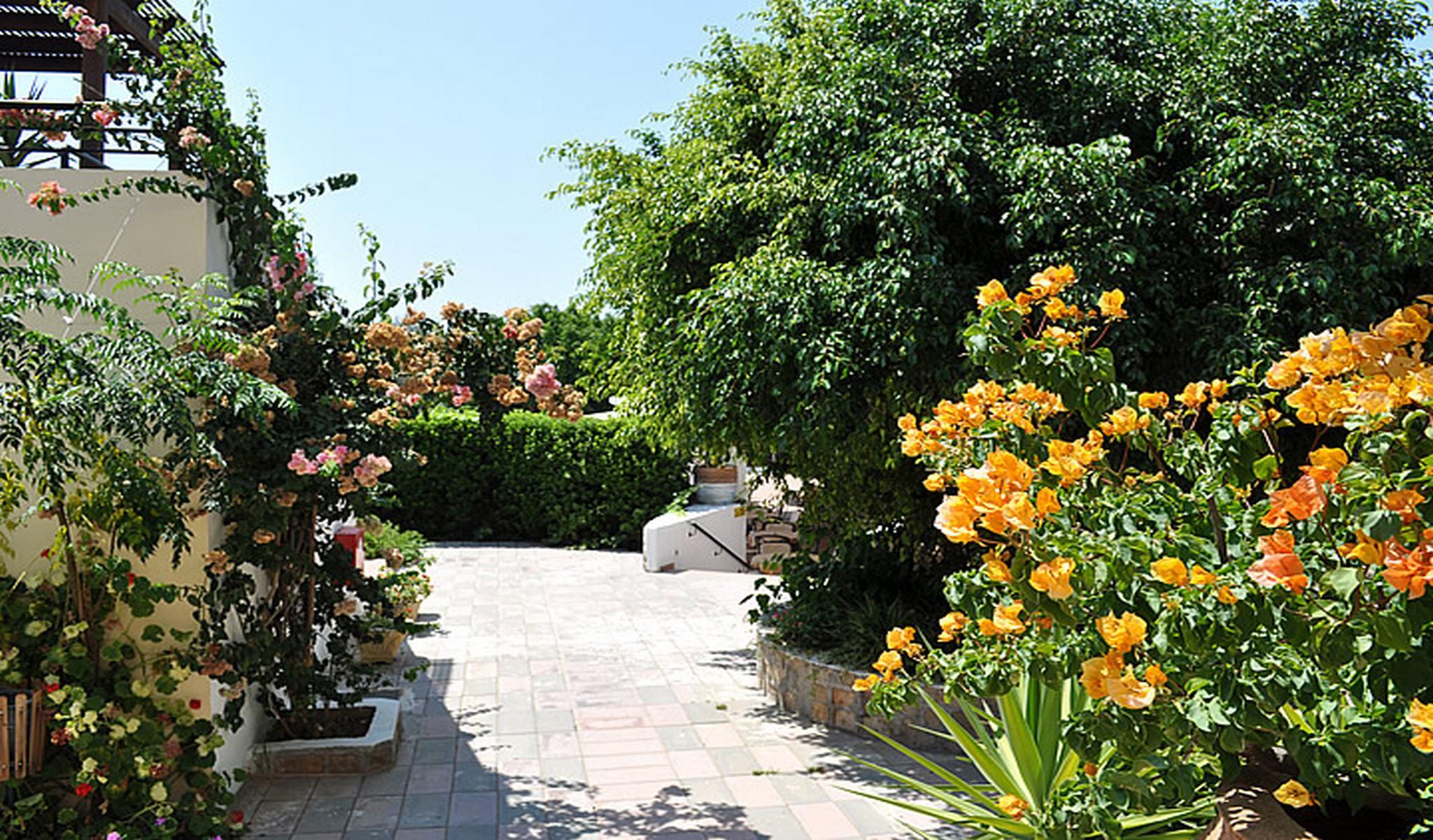 Pefkos Village Resort Pefki  Luaran gambar